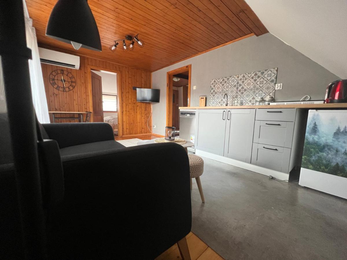 Przy Stoku I Potoku Apartamento Wisła Exterior foto