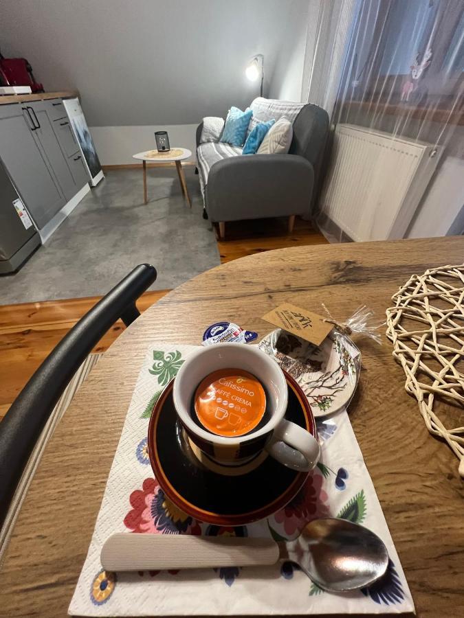 Przy Stoku I Potoku Apartamento Wisła Exterior foto