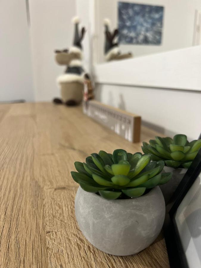 Przy Stoku I Potoku Apartamento Wisła Exterior foto